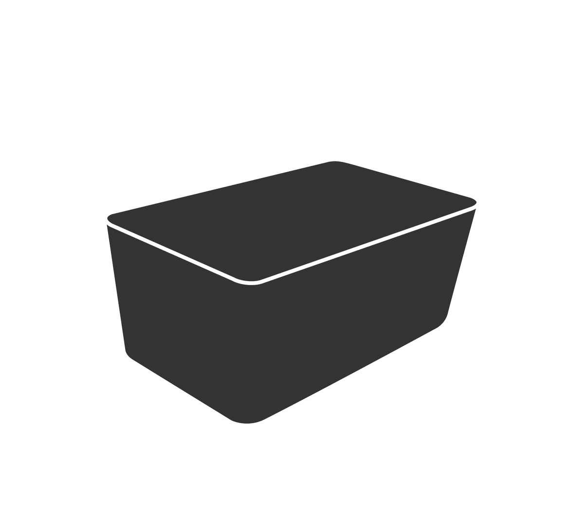 Een eenvoudige zwarte rechthoekige container met een vlakke deksel, geschikt voor opslag of organisatie.