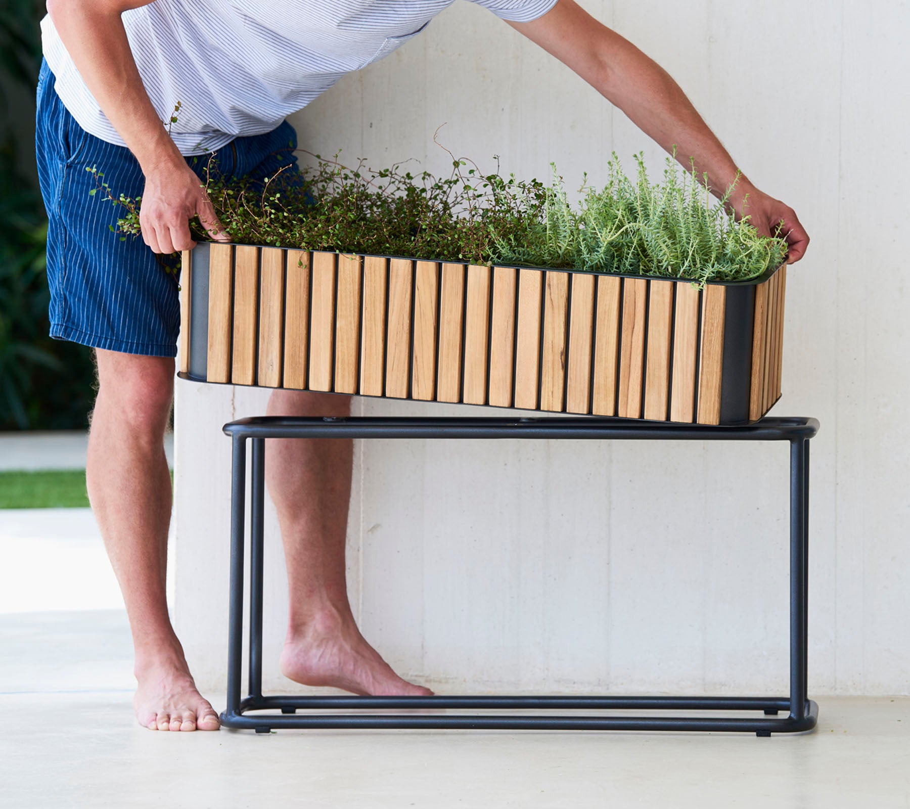 Een persoon rangschikt planten in een houten plantenbak bovenop een slank metalen standaard, waarmee een mix van natuurlijke en moderne designelementen wordt getoond.