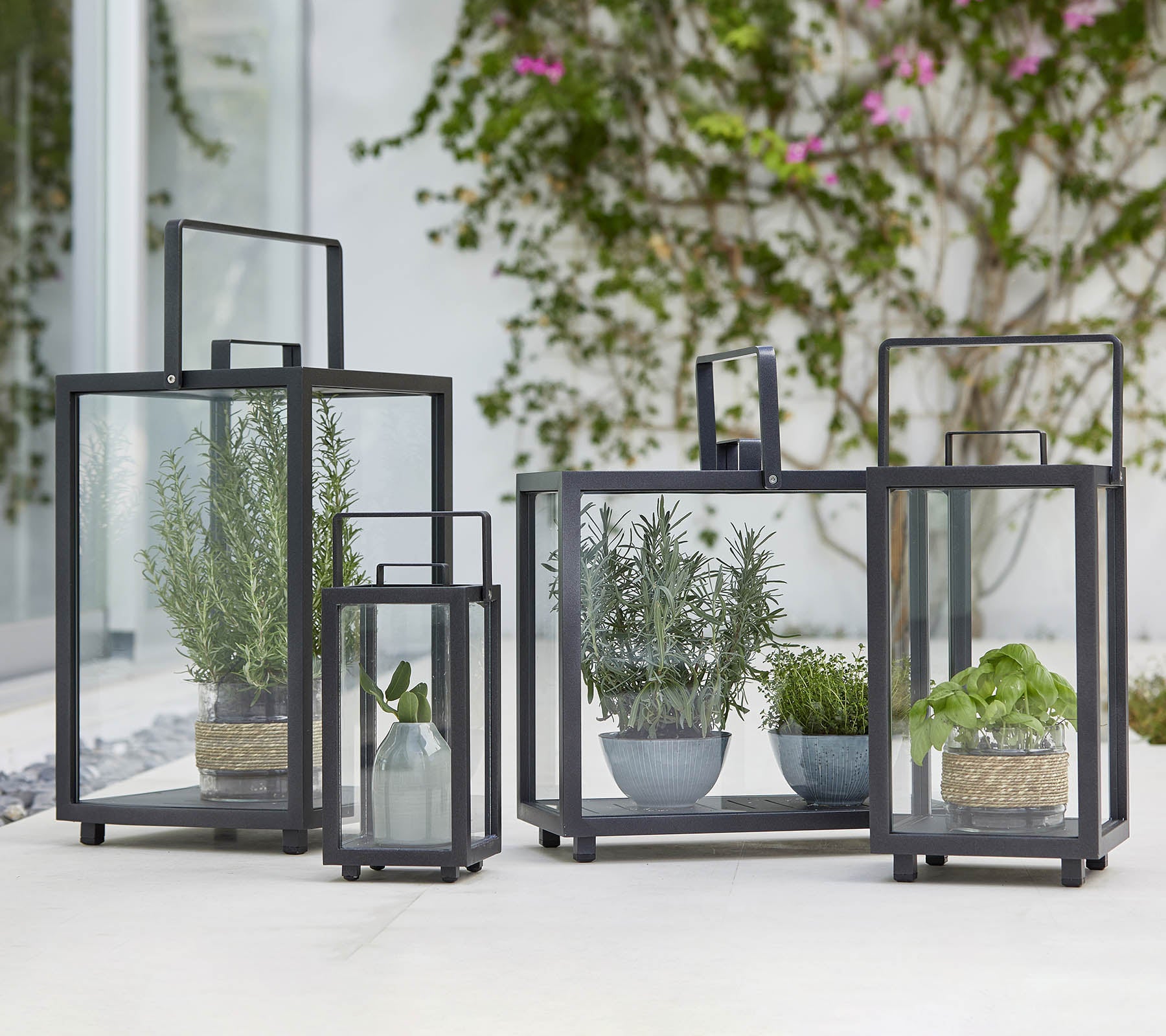 Vier geometrische glazen lantaarns met verschillende bloempotten erin, die modern design en groenheid laten zien.