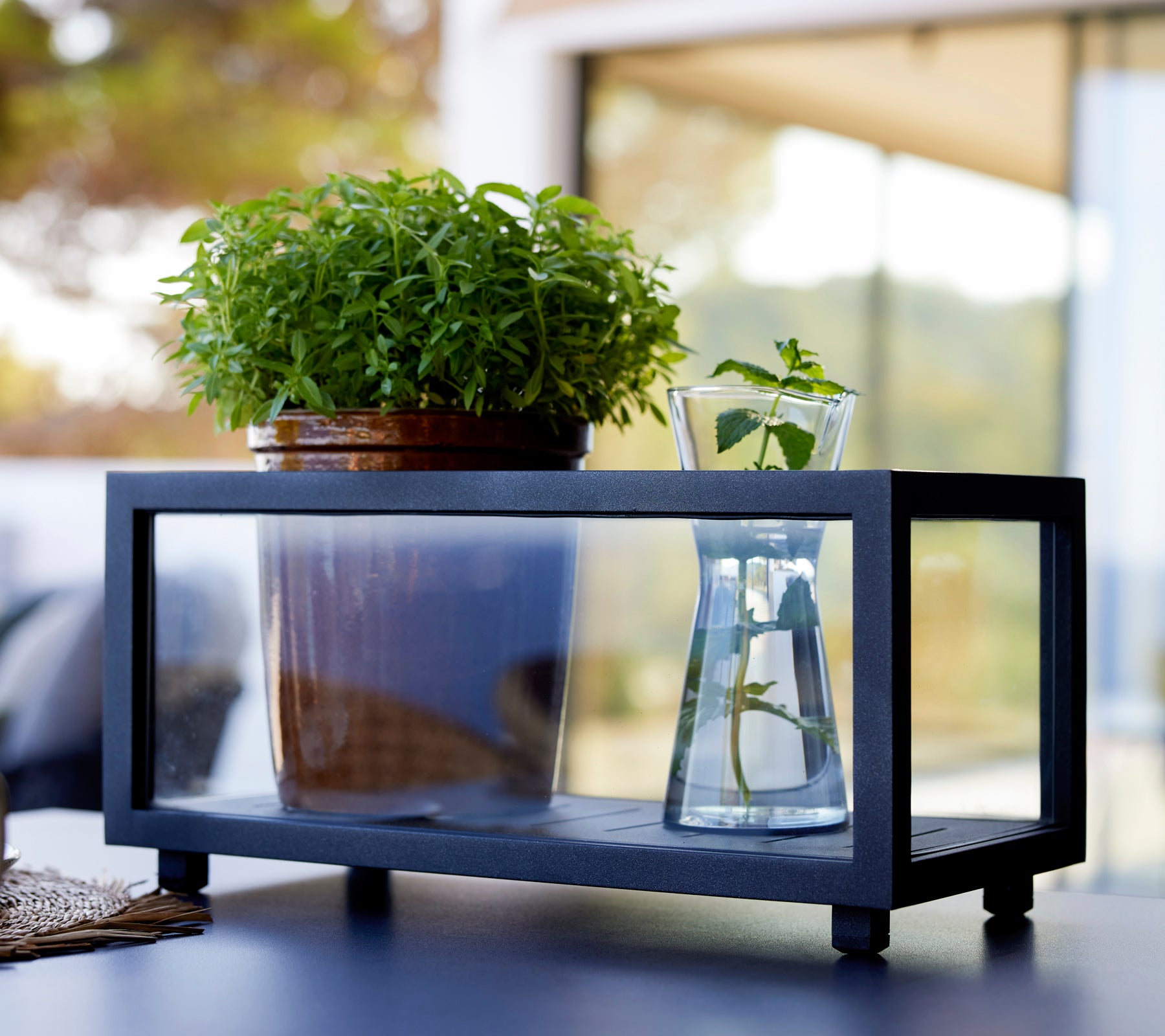 Zwarte plantenbak met een groene plant en een glazen vaas in een moderne buitenomgeving.
