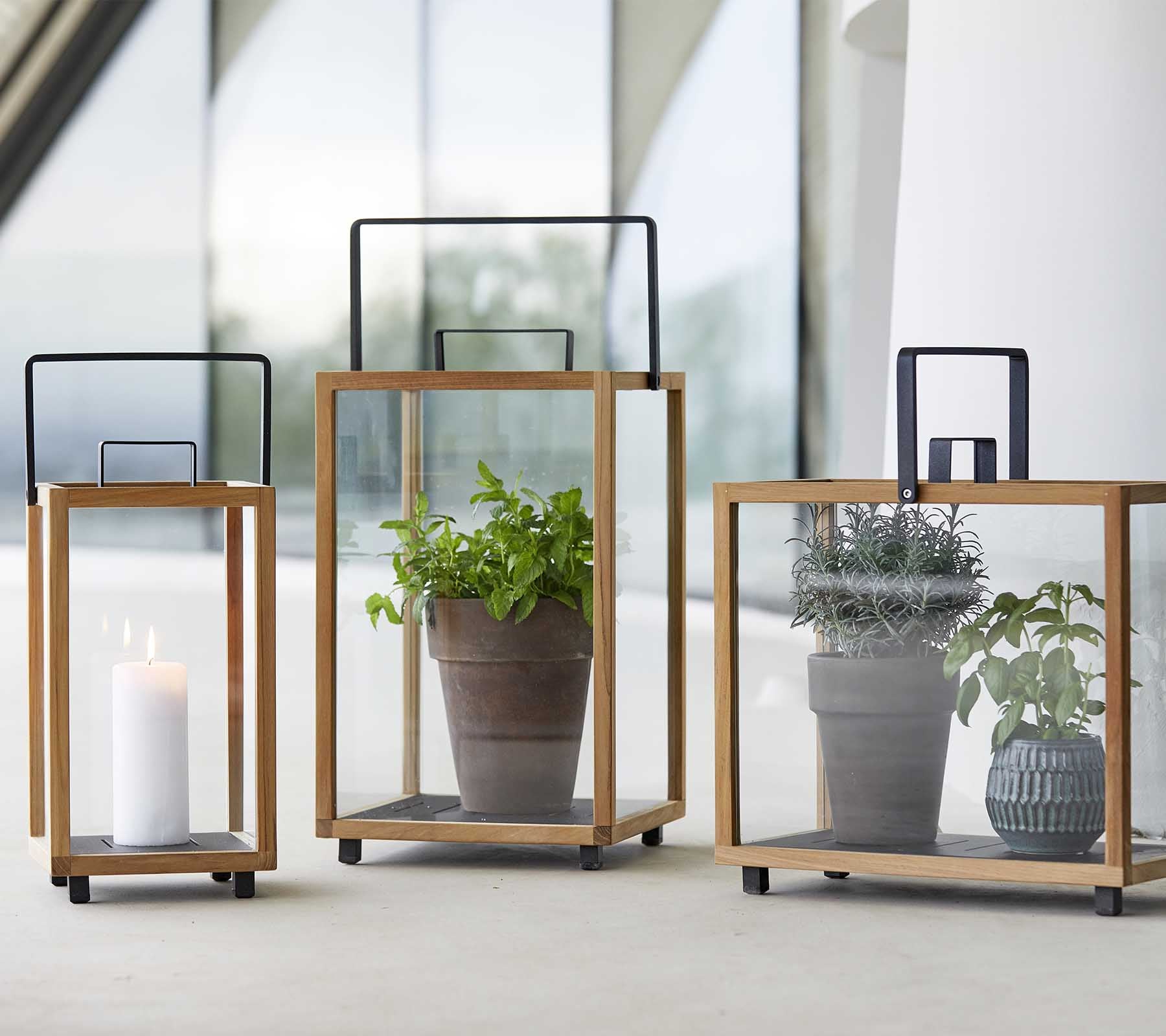 Drie stijlvolle glazen lantaarns met houten frames, die een kaars en potplanten binnenin elk tentoonstellen.