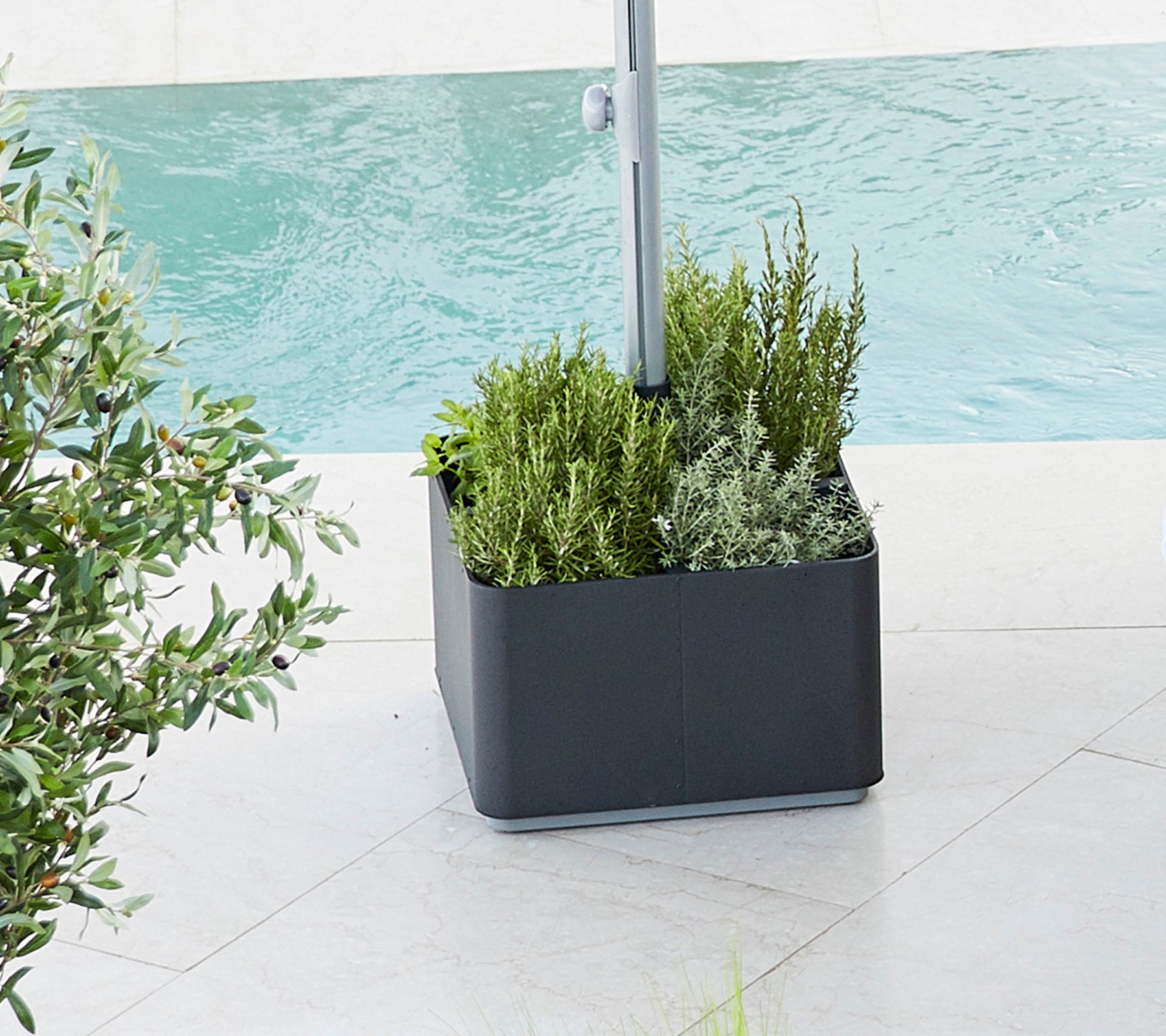 Planten gevuld met levendig groen, met verschillende planten geplaatst naast een waterpartij, wat een frisse, serene sfeer biedt.