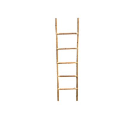 Climb ladder
