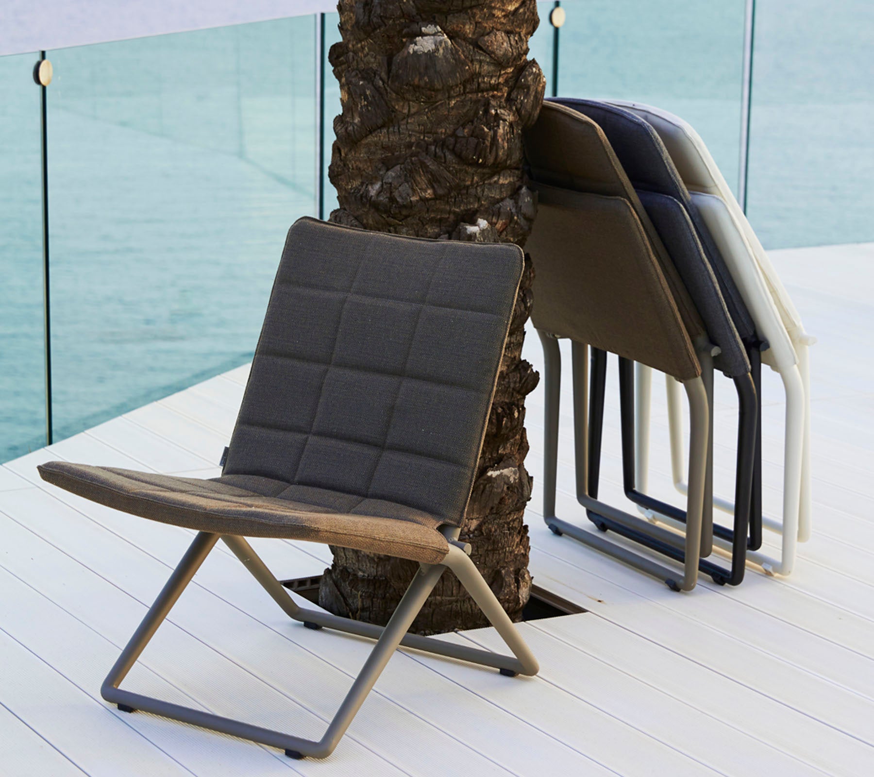 Twee stijlvolle, moderne stoelen in verschillende kleuren met een eigentijds ontwerp en een slanke metalen frame, leunend tegen een palmboom.