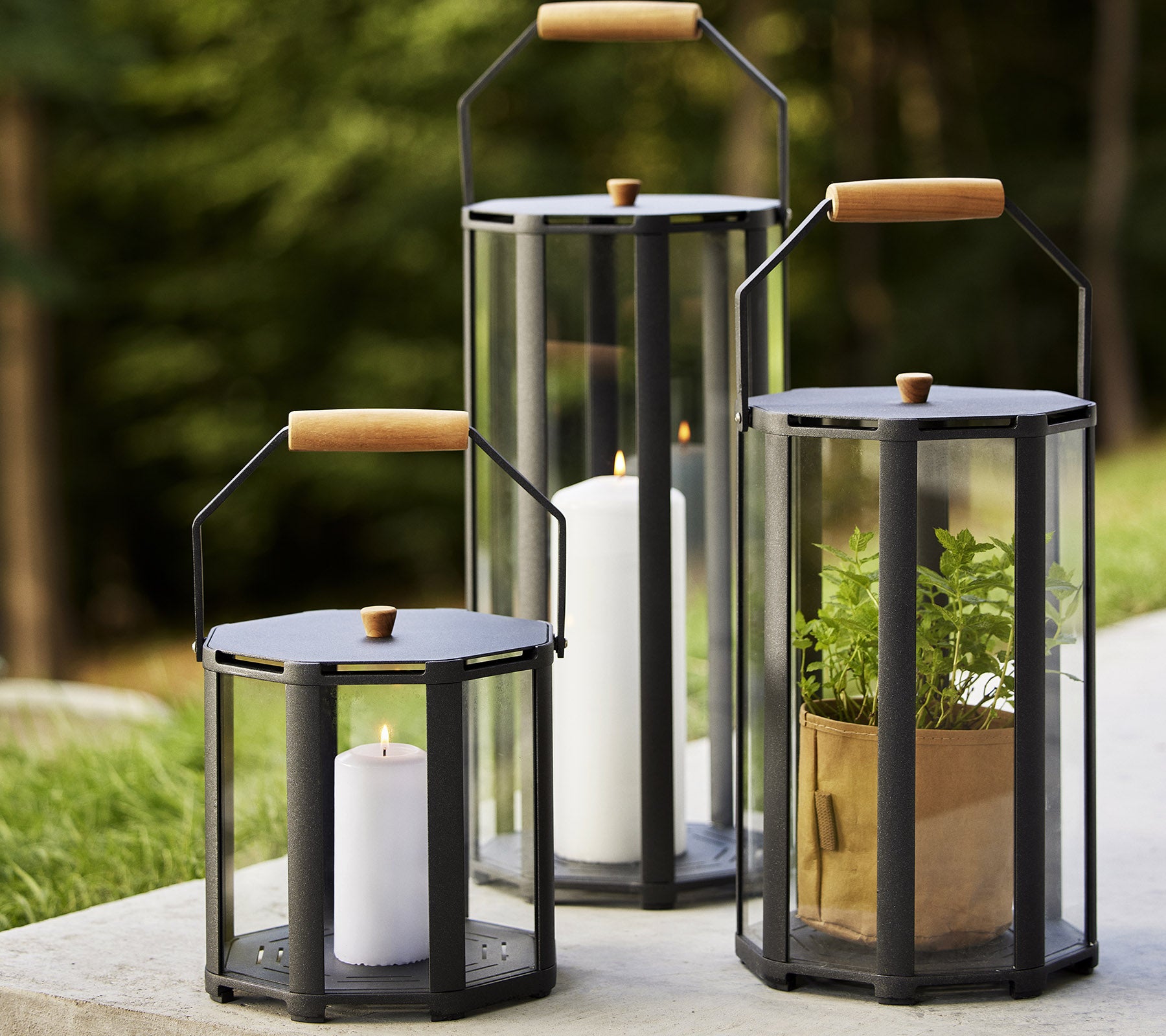 Drie lantarens met houten handvatten, die kaarsen en planten tentoonstellen, tegen een natuurlijke achtergrond. Ideaal om de sfeer te verbeteren.